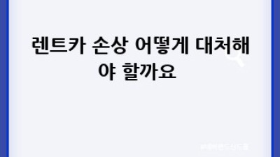 나주 렌트카 완전정복! 🚗💨 손상 걱정 없이 떠나는 여행 꿀팁