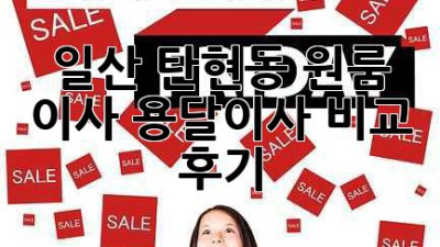 일산 탄현동 원룸 이사, 용달이사 비교 후기